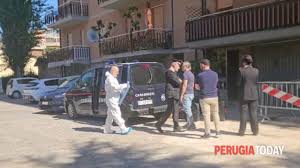 Trend Google: ponte felcino