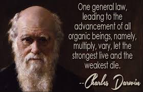 Charles Darwin Quotes via Relatably.com