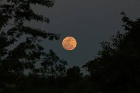 "Lua Cheia das Flores" ocorre hoje; entenda o fenômeno