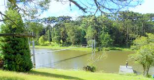 Resultado de imagem para pesca rs