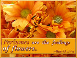Beauty Quotes: Flowers Quotes And Picture Of The Orange Flowers via Relatably.com