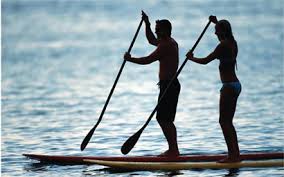 Image result for paddle board