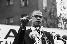 Image result for malcolm x black panthers