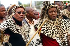 Image result for Zuma KING