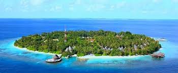 Hasil gambar untuk pulau