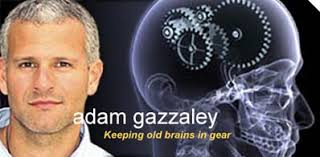 Brain Man: A Conversation with Cognitive Neuroscientist Adam Gazzaley - brains-in-gear398_0