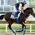 La Verdad heads to Breeders' Cup on short rest