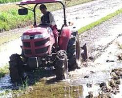 Gambar Traktor menanam padi