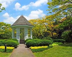 Immagine di Singapore Botanic Gardens