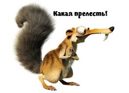 Картинки по запросу Светлана ямолкина картинки