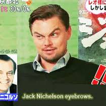 More Photos Tags: funny, guide, talking, morning (see all) - leo-showing-his-jack-nichelson-eyebrows-91272