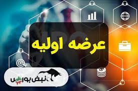در عرضه اولیه بانیان به هر کد چند سهم رسید؟