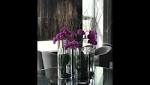 Tips Decorating with Ultra Violet,