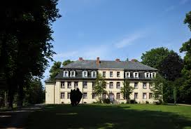 Picture of Dallmin