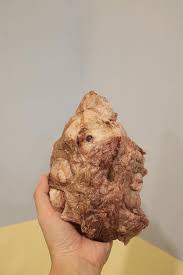 答案是牛喉嚨！！因為是低溫高壓技術製成的所以比一般烘乾的更 ...