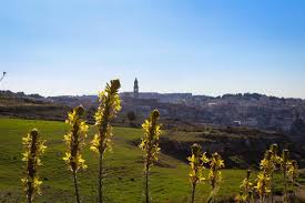 Trend Google: bordeaux