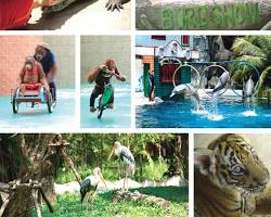 Image of Wildlife Safari in Cambodia