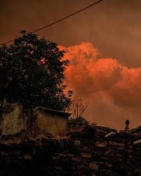 Reuters - News update