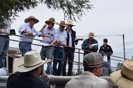 Beef Central - News update