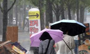 세계일보 - News update