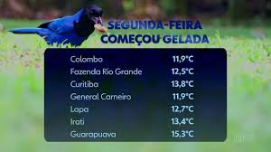 Semana começou gelada na região de Curitiba