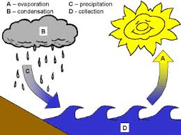 Resultado de imagen de water cycle