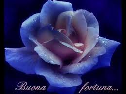 Risultati immagini per immagini buona fortuna