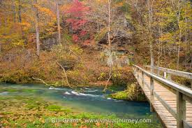 Image result for "Alley Spring"