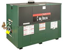 Raypak HI Delta P652C Commercial Indoor-Outdoor Swimming ...