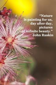 Tree &amp; Nature Quotes on Pinterest | Tree Quotes, John Muir and Nature via Relatably.com