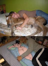 Image result for welcome to the internet meme