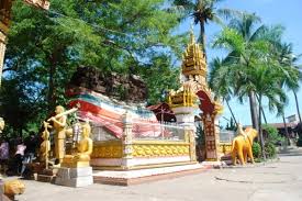 Kết quả hình ảnh cho Chim Hac images