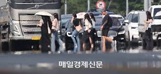 네이트 뉴스 - News update