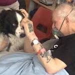  Hospital grants man dying wish: a chance to see his dog