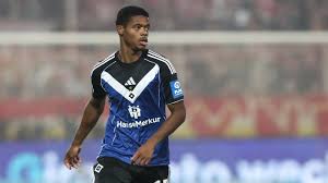 Hamburger SV vs Hoffenheim Prediction, 4/25/2026 Soccer Pick, Tips and Odds