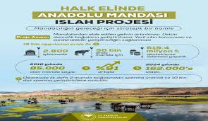 Yeşil Niksar Yerel Haber Sitesi - News update