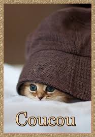 Résultat de recherche d'images pour "un coucou gif animes"