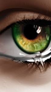 Image result for animated butterflies wallpaper