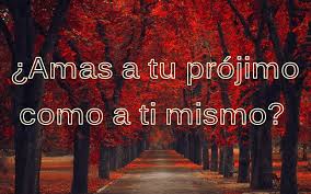 Image result for jesus manda a los cristianos que se aman y sin embargo hay odios y divisiones entre ellos