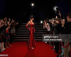 Image of gallery of stunning celebrity red carpet photos