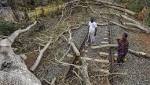 Cyclone Gaja: Tamil Nadu government