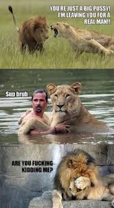 Kevin richardson on Pinterest | Lion, White Lions and South Africa via Relatably.com