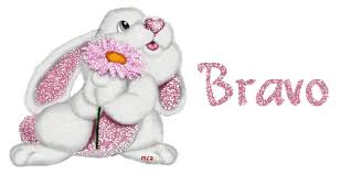 Résultat de recherche d'images pour "images bravo"