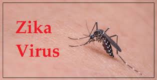 Image result for VIRUSUL ZIKA