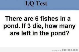 What are chances of improving IQ? (Scientifically speaking yes)