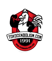 Hasil gambar untuk ayam birma hari ini