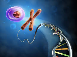 Resultado de imagen de biology