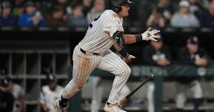 Rays White Sox Baseball