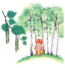 Картинки по запросу картинка береза