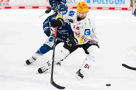 Fischtown Pinguins - News update